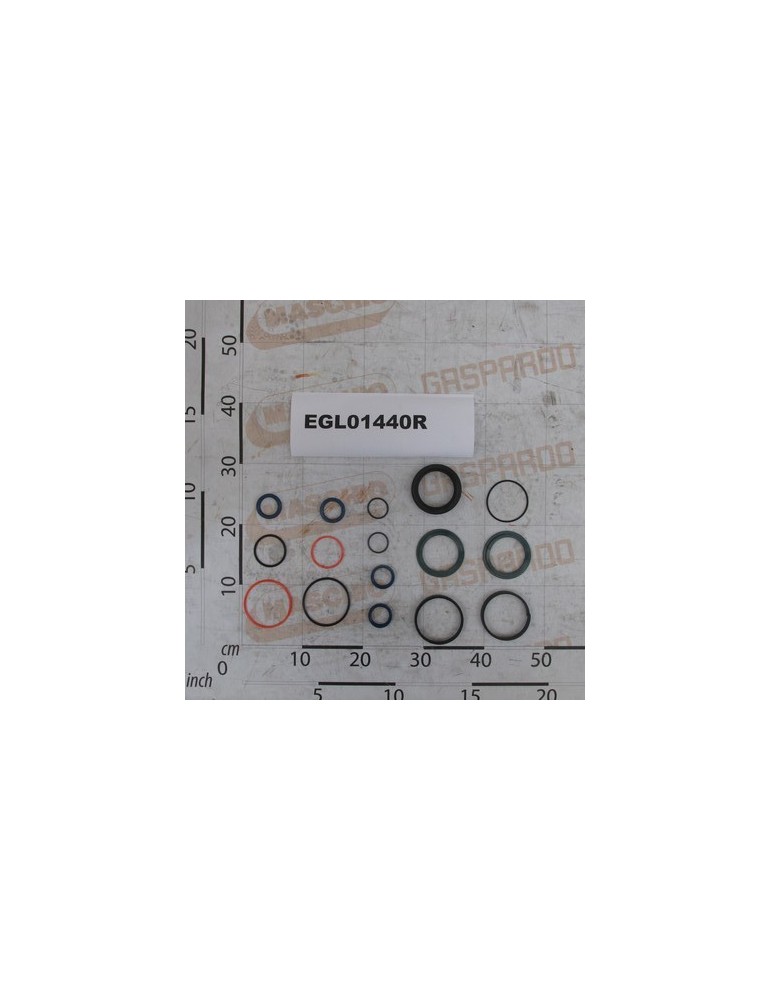 SEAL OIL KIT DICHTUNGSSATZ