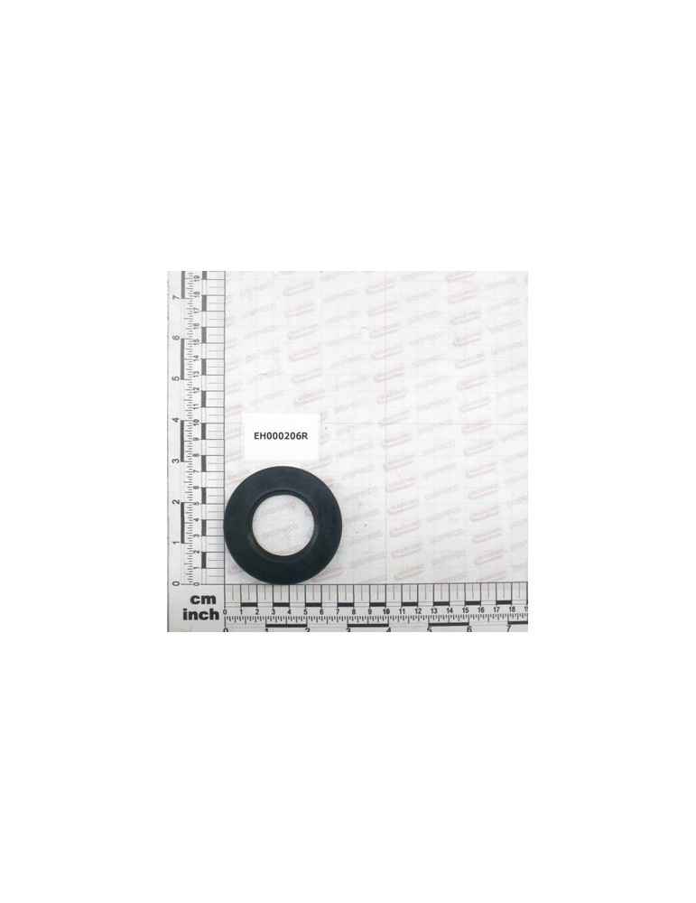 OIL SEAL