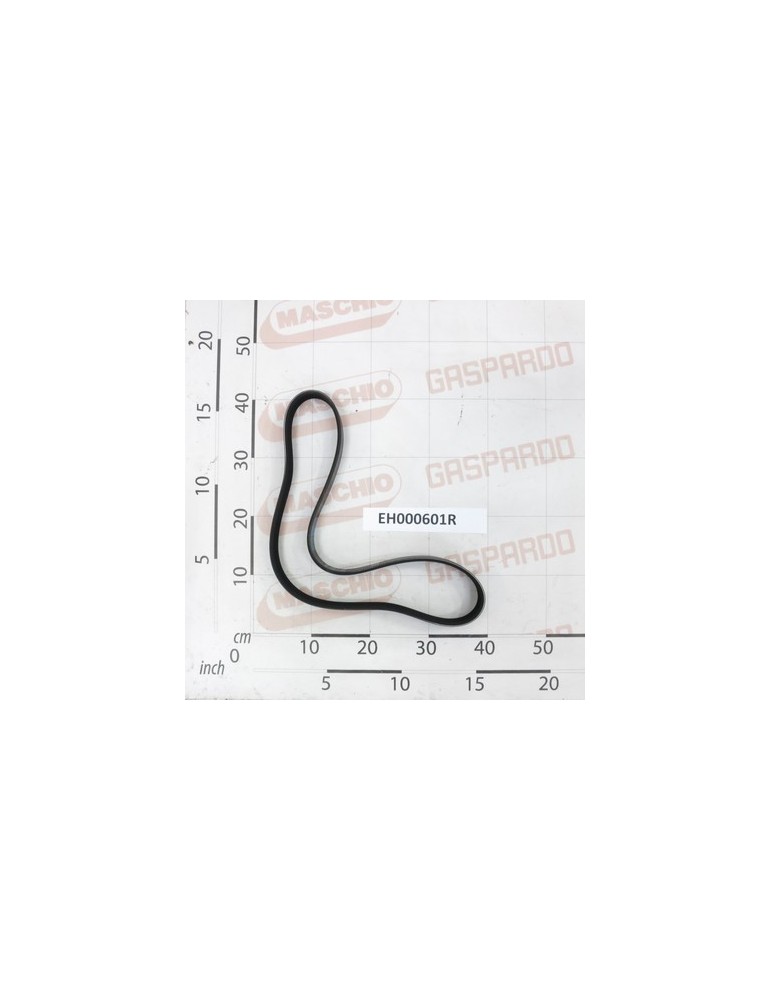 SIDE TRANS.BELT