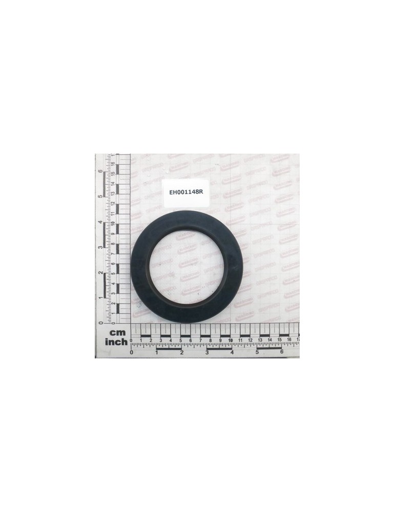 OIL SEAL I75 E110 L12