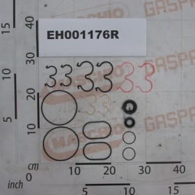 SEALS KIT PLP 30/PLP 20