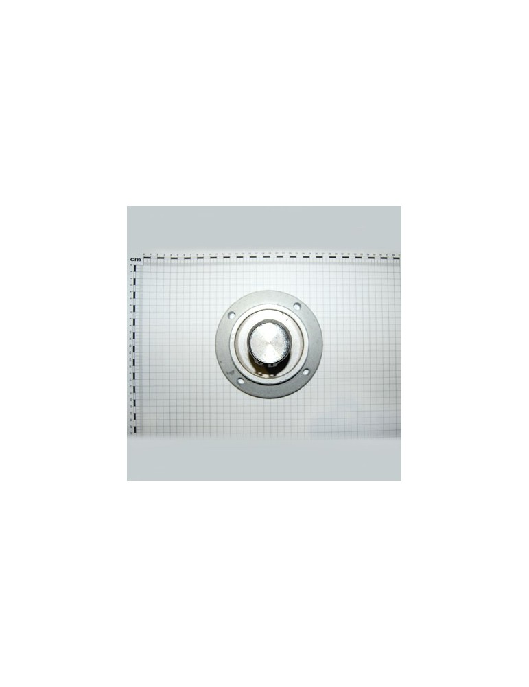 DISC SUPPORT PIN