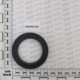 OIL SEAL