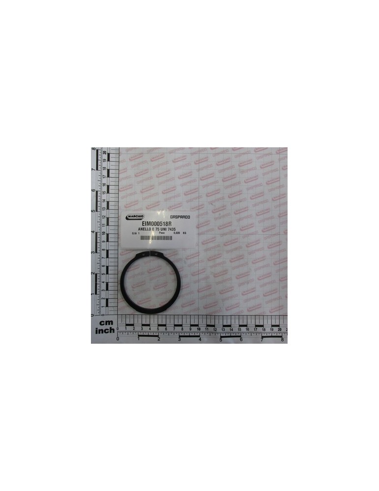 SEEGER E 75 UNI 7435