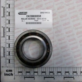 ROLLER BEARING-6010 (4210)