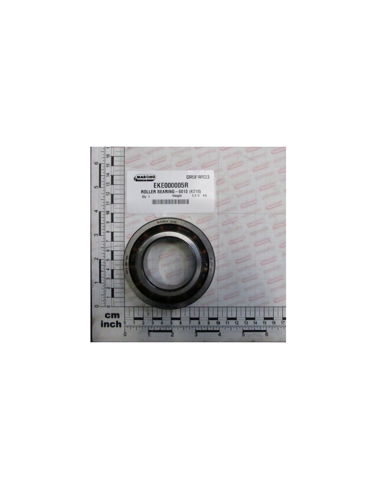ROLLER BEARING-6010 (4210)
