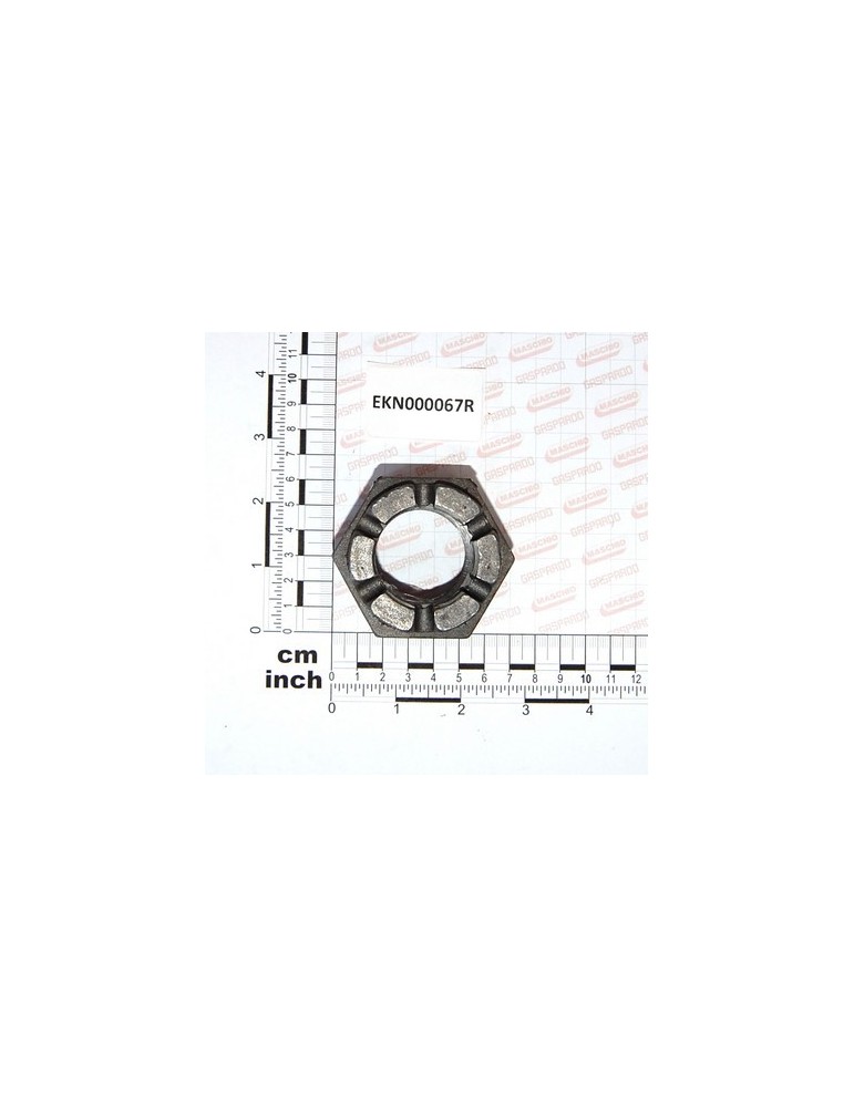 CASTELLATED NUT M39