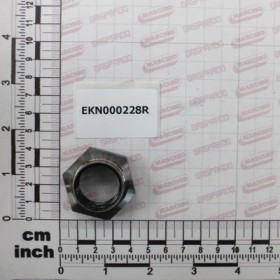 NUT M24X2