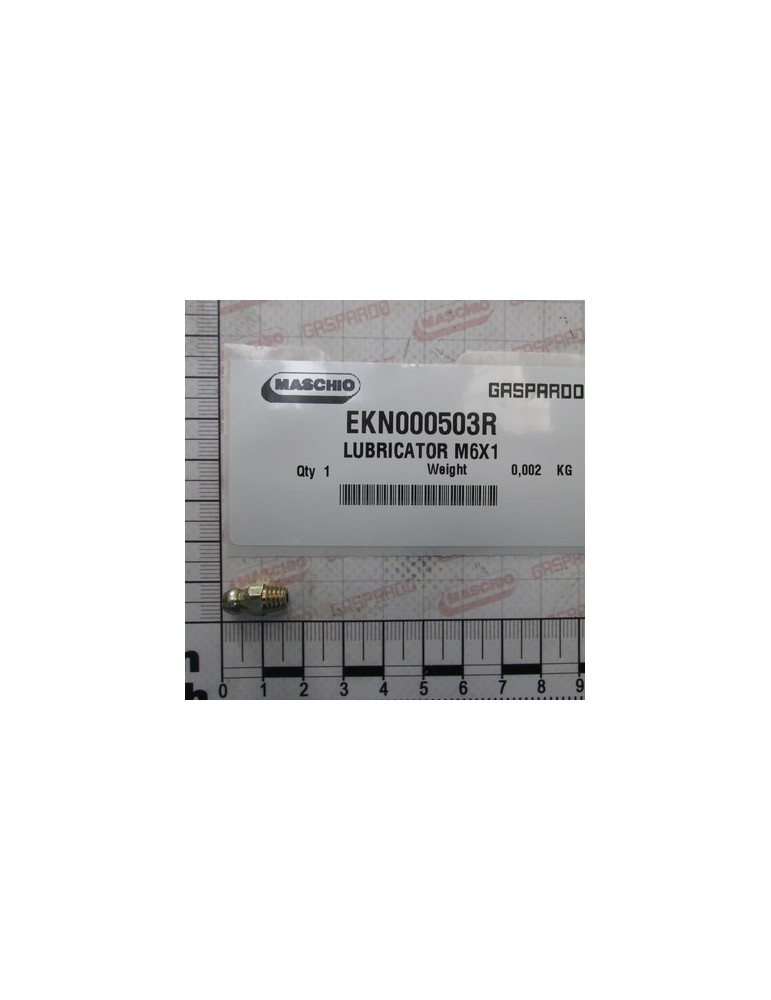 LUBRICATOR M6X1