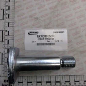 HINGE PIN