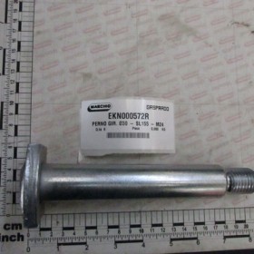 SWIVEL PIN Ã30 - SL155 - M24