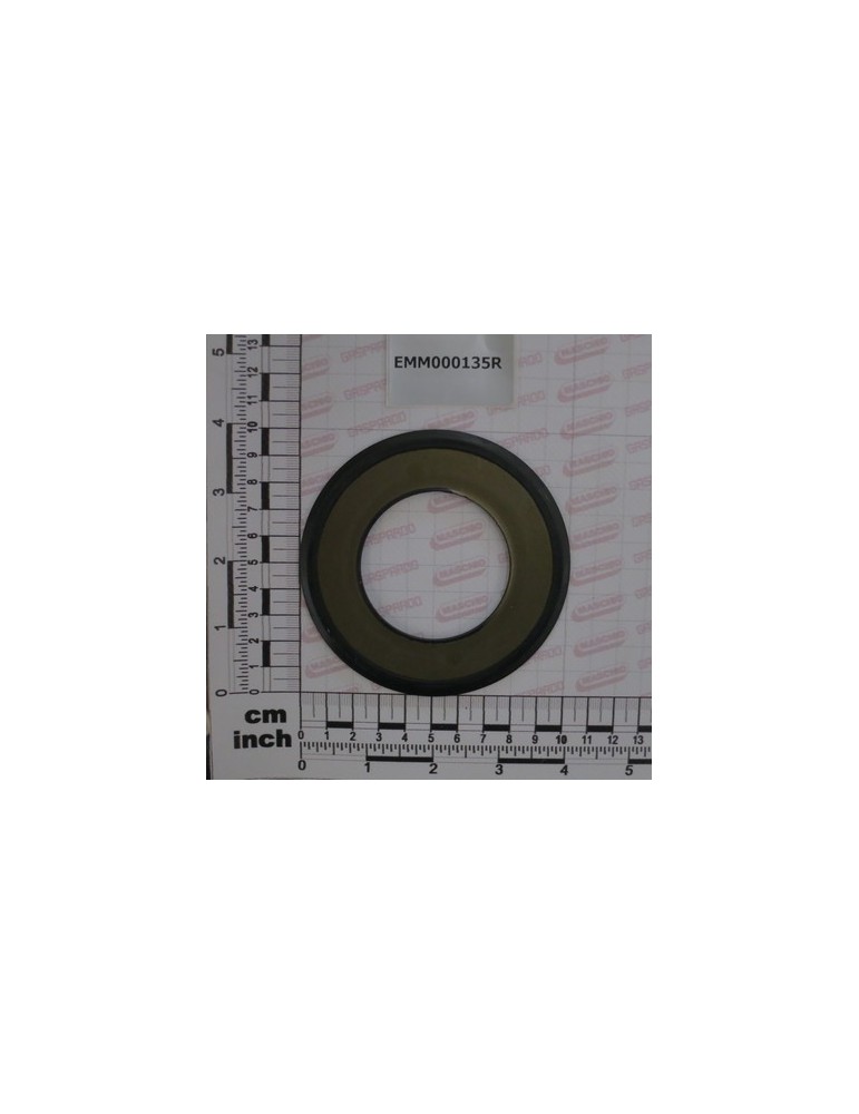 OIL SEAL