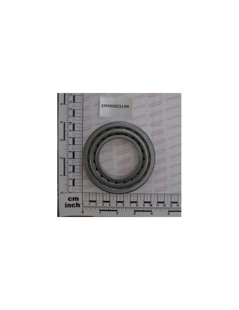 POSTERIOR BEARING