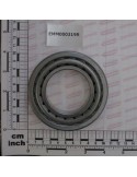 POSTERIOR BEARING