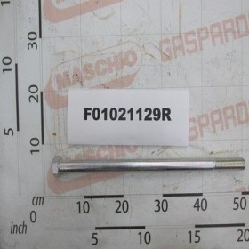 Maschio Gaspardo SURUB M24X3X450 U5737 10.9 ZF F01021129R
