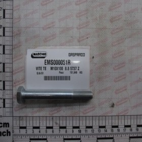 BOLT TE    M10X100  8.8 5737 Z
