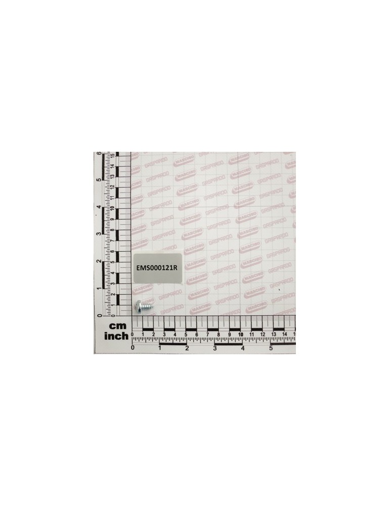 BOLT TC A. 6,3X 13 INOX 6951