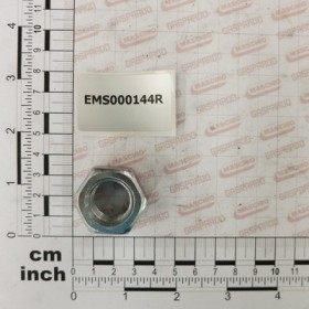 NUT 6S M 20  5588 ZB