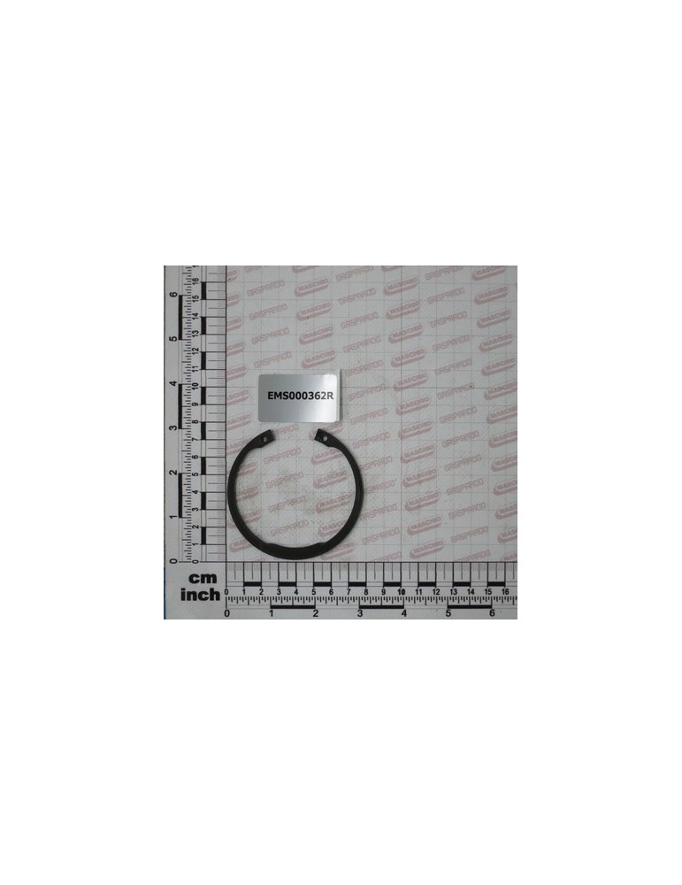 SEEGER RING I D. 72  7437/47