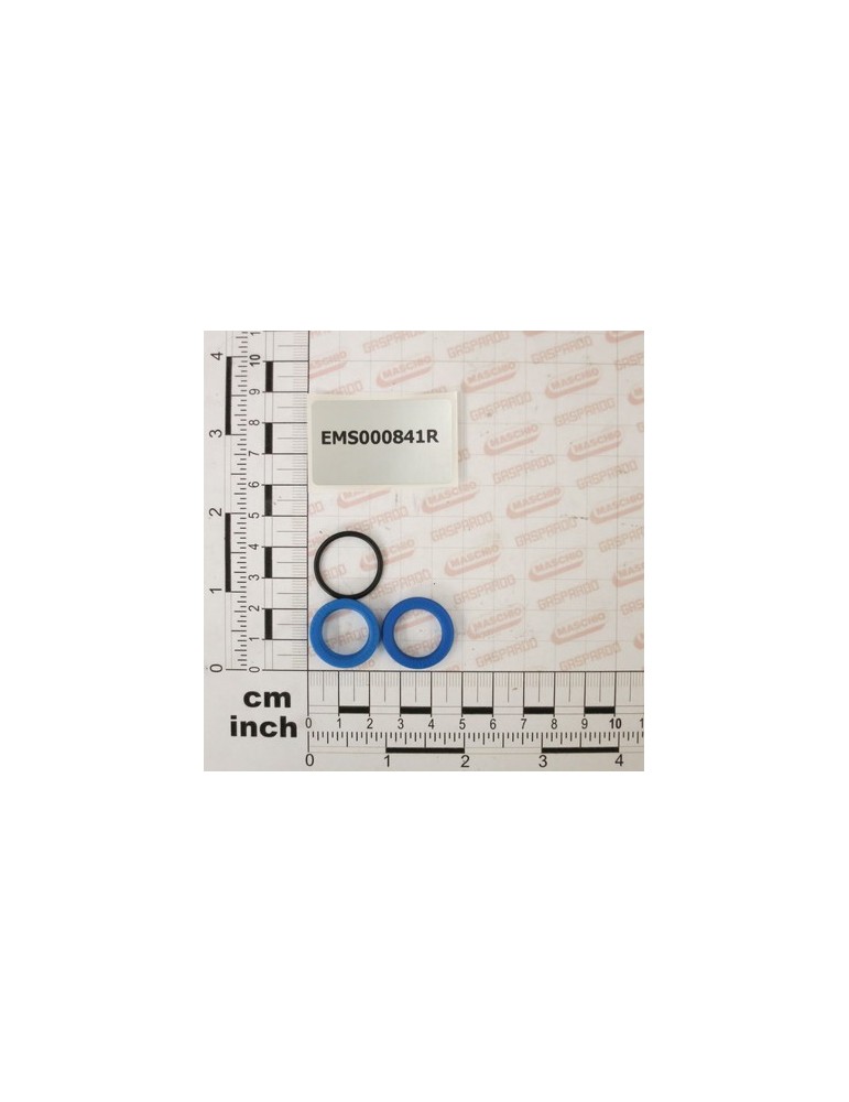 CYL GASKET KIT. 5000301