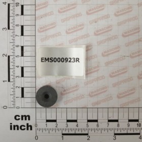 MAGNET