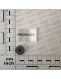 MAGNET