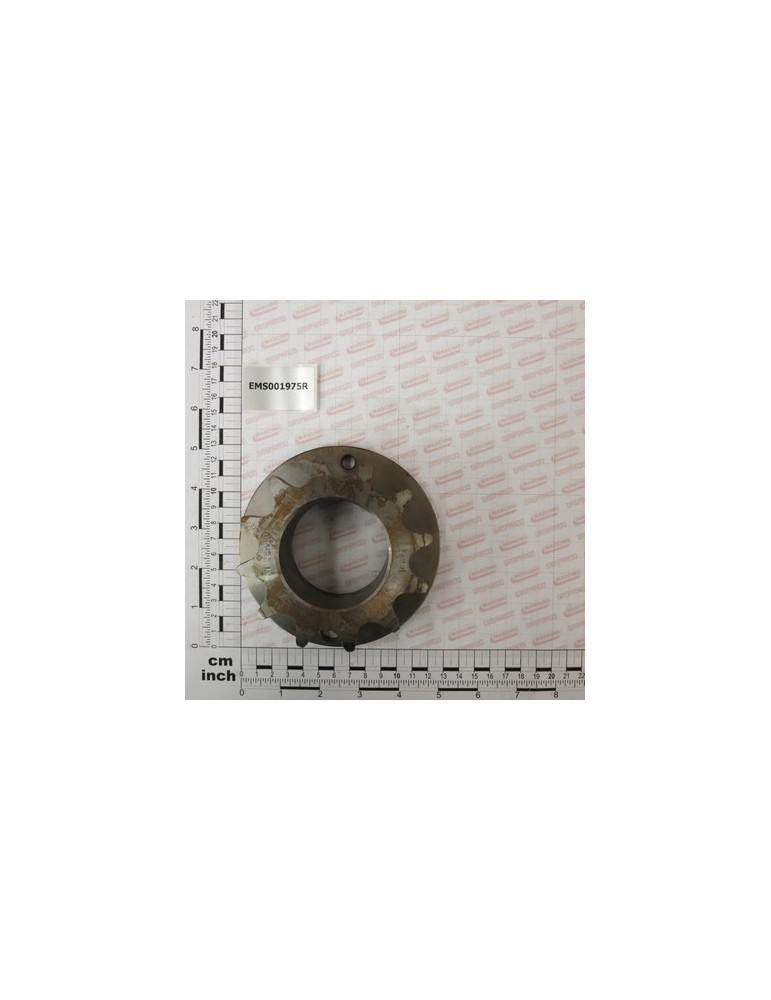 COMP.M. PINION SIC. EST.