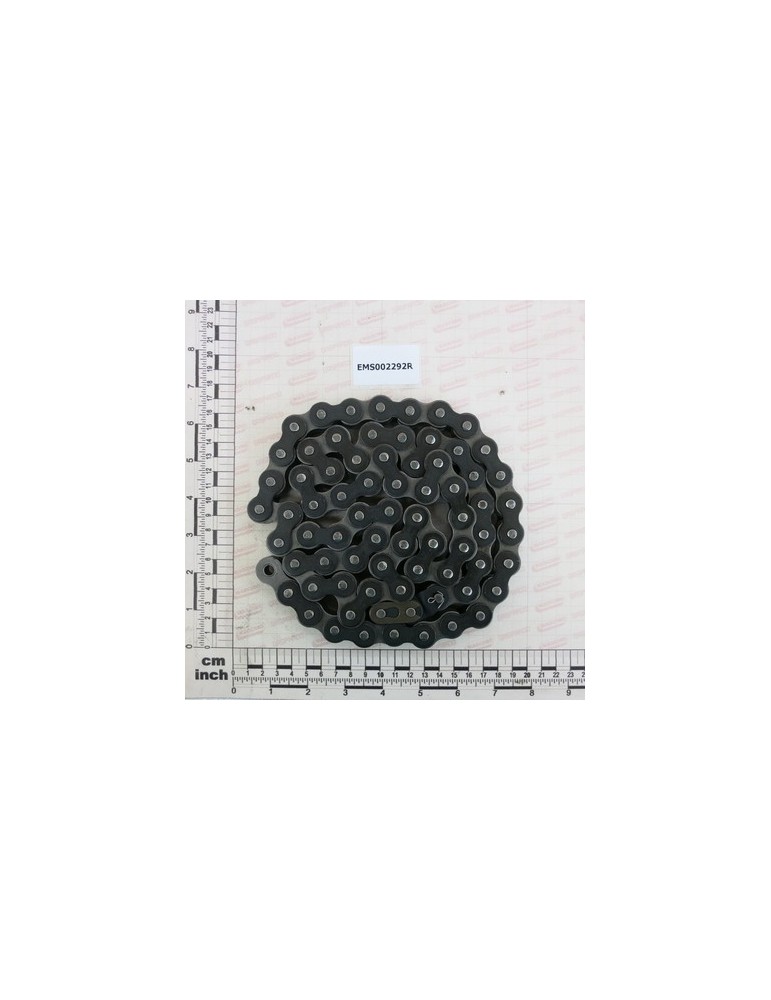 CHAIN A RULLI ASA60 71 P. +GI