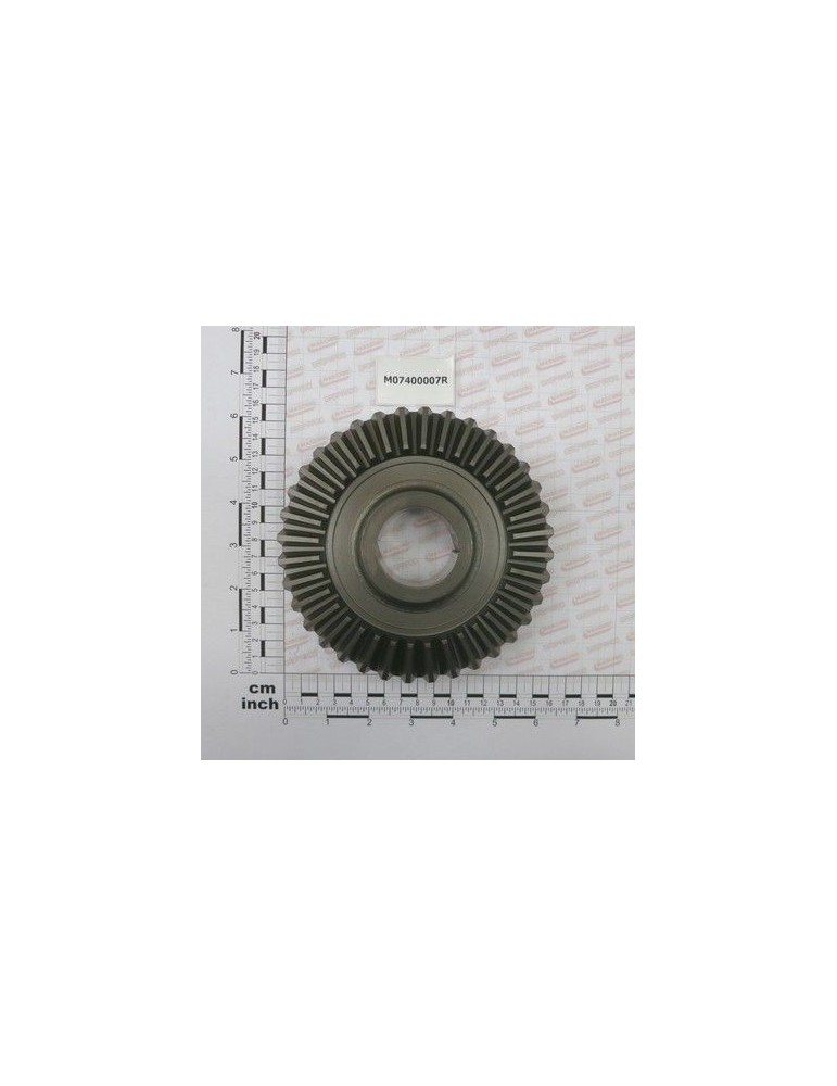 Maschio Gaspardo 0.311.6200.00 COROANA 36 DINTI M07400007R