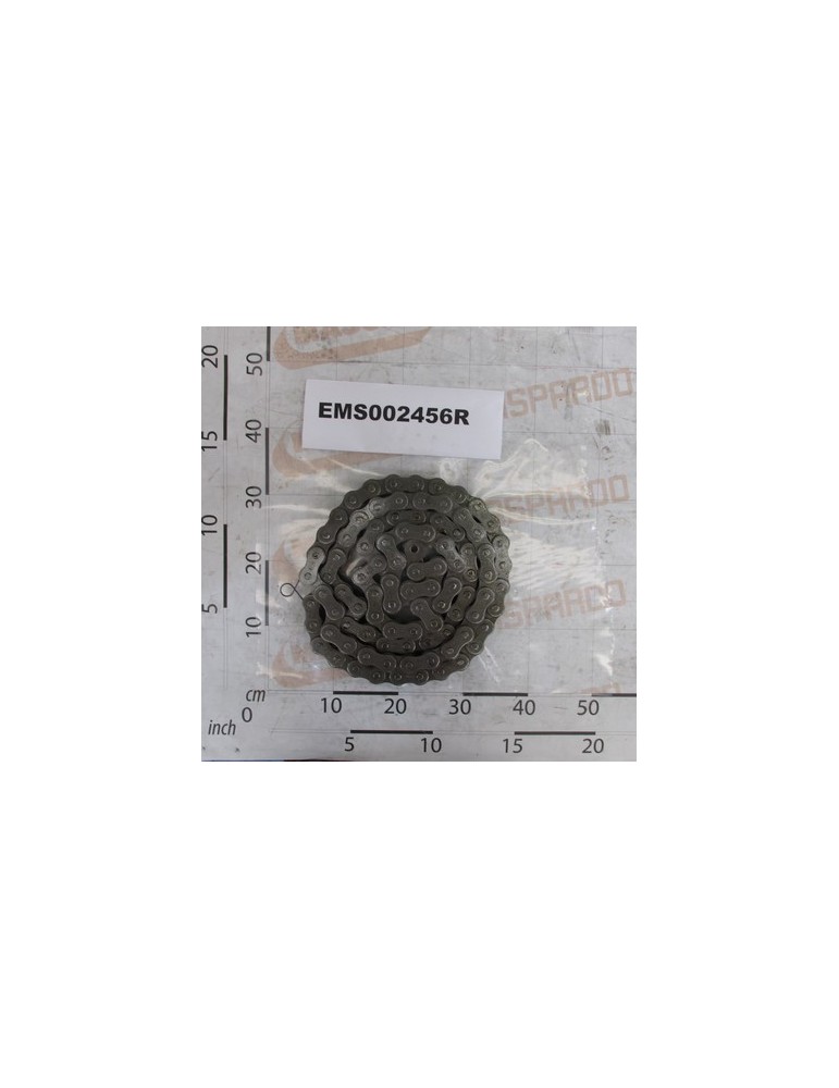 CHAIN ASA 100 91 PASSI + GIUN