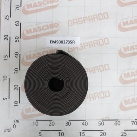 BELT WITH CLIP