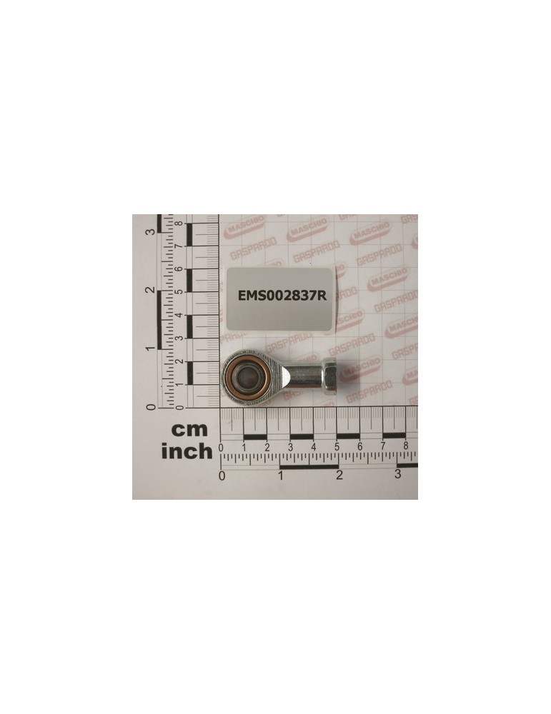 HEAD M8 TYPE RF8