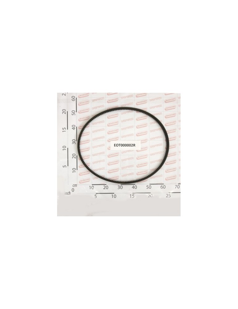 BELT SGRANASASSI CX68
