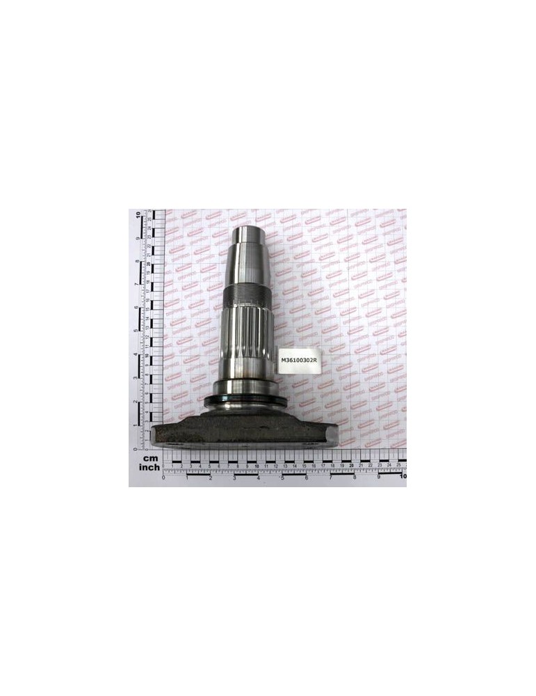 Maschio Gaspardo ROTOR LATERAL M36100302R