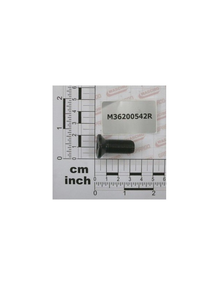 Maschio Gaspardo SURUB M12X1.25X30 M36200542R