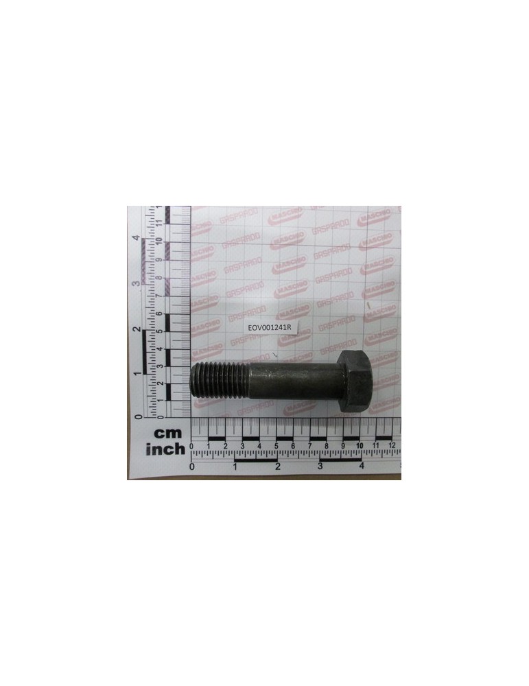 BOLT 20*80 10.9
