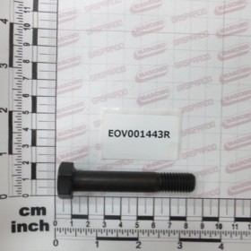 SHARE BOLT 12*70 12.9