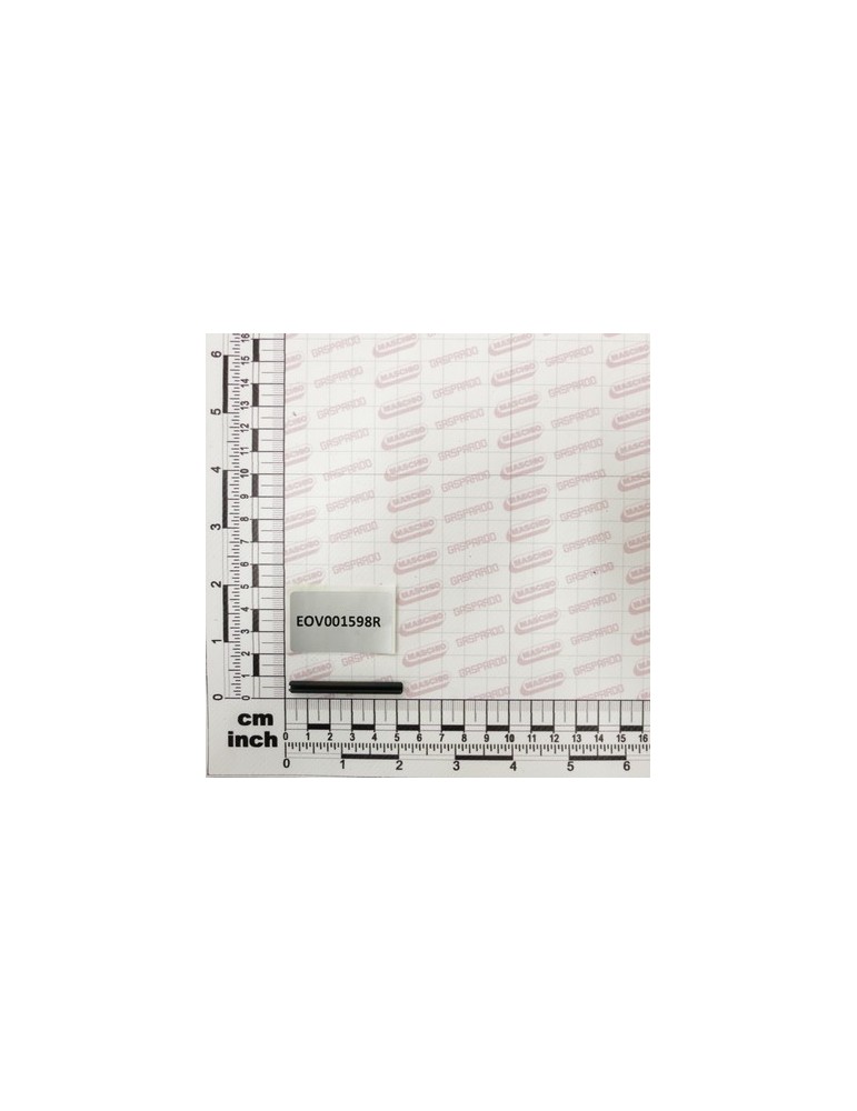 ELASTIC PIN DIN-1481 5*50
