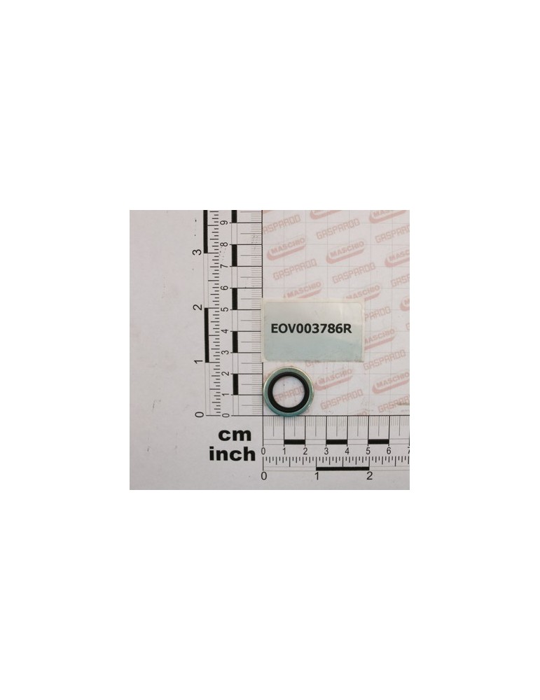 GASKET 3/8\"