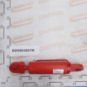 MEMORY CYLINDER WITH BOCK VALV