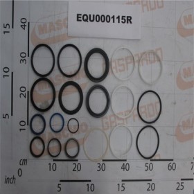 GASKET KIT MARTIN 50X100 C700