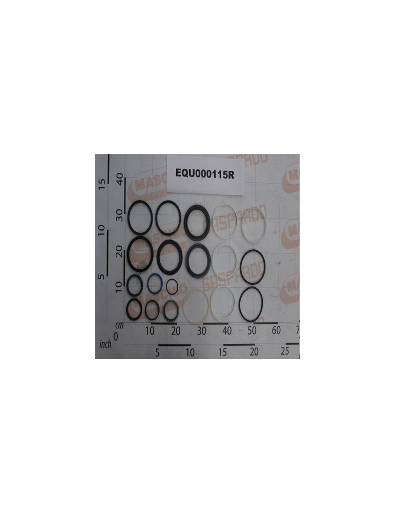 GASKET KIT MARTIN 50X100 C700