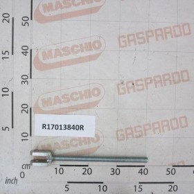 Maschio Gaspardo SURUB REGLARE R17013840R