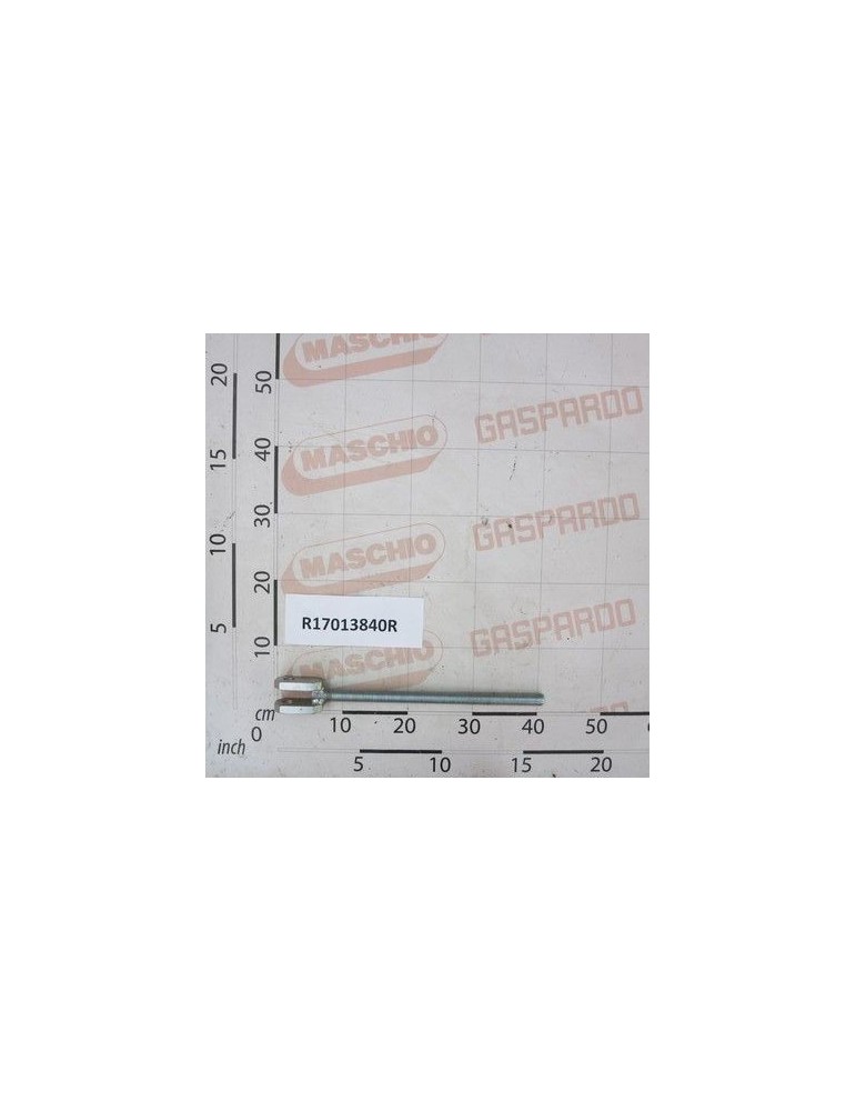 Maschio Gaspardo SURUB REGLARE R17013840R
