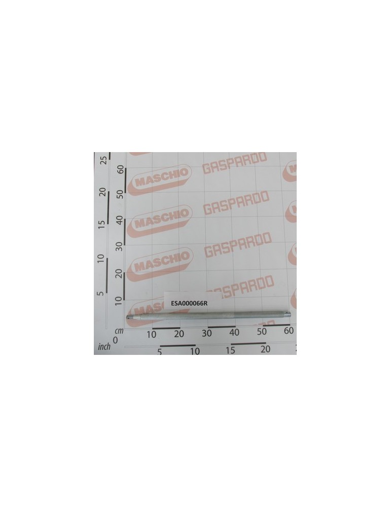 BOLT (Z300)