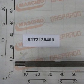 Maschio Gaspardo AX BATERIE L1613 C45 BON R17213840R