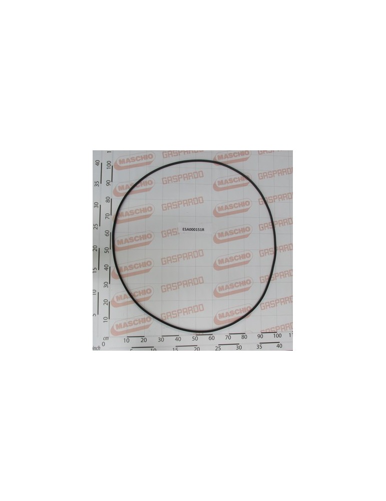 BELT SPA3185