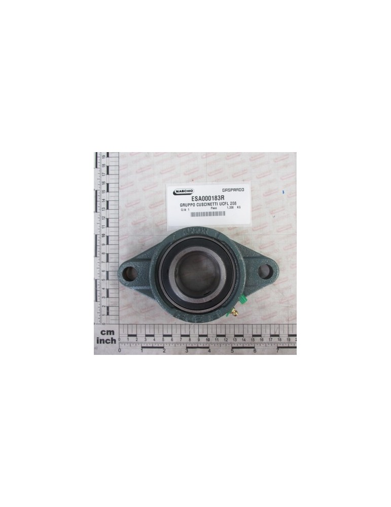 BEARING GROUP UCFL 208