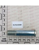 Maschio Gaspardo BOLT FILET. D25 L118 C40 ZN R17614340R