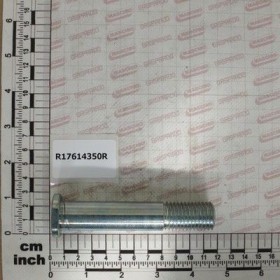 Maschio Gaspardo BOLT CU FILET D20 L110 C40 ZN R17614350R